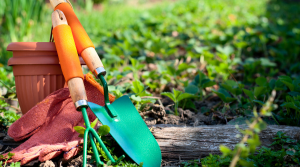 Home Matters | How to Care for Garden Tools in Fall & Winter