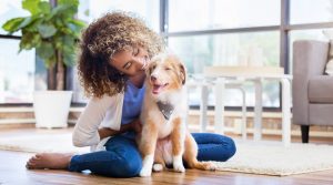 Tips for Bringing a New Pet into Your Home