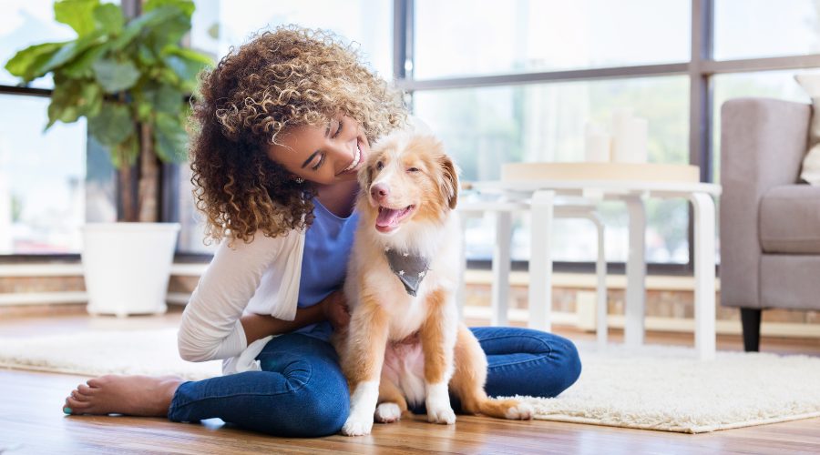 Tips for Bringing a New Pet into Your Home