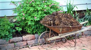Landscaping 101: Wood Mulch vs. Pine Straw
