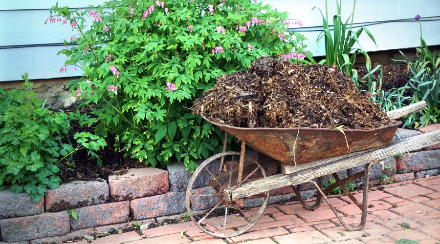 Landscaping 101: Wood Mulch vs. Pine Straw
