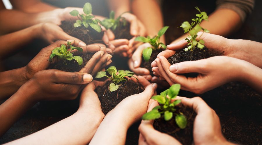 Celebrate Earth Day with Wallace Real Estate