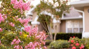 Why Summer is a Great Time to Buy or Sell A Home in East Tennessee