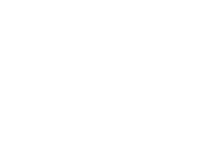 Wallace Real Estate Commercial Logo 300×214