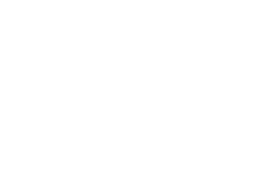 Wallace Real Estate Luxury Logo 300×214