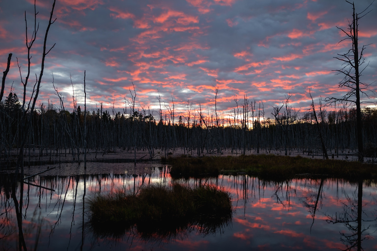 Wetland and still water reflecting a colorful sunset near Alpha, Tennessee