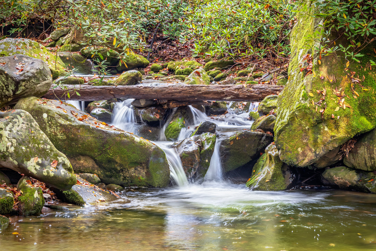 Woodland stream flowing over rocks near Blair in Roane County, Tennessee