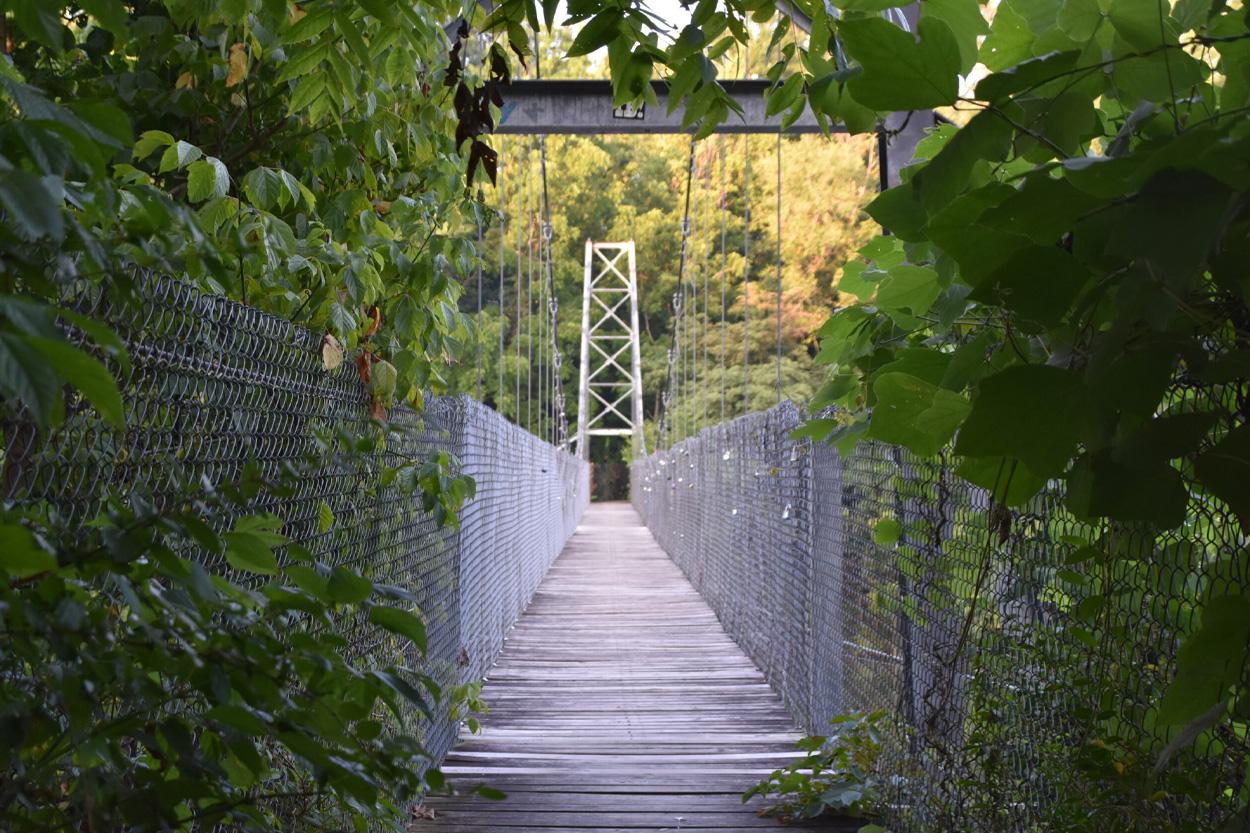 Pedestrian suspension bridge surrounded by green trees in Bluff City, Tennessee