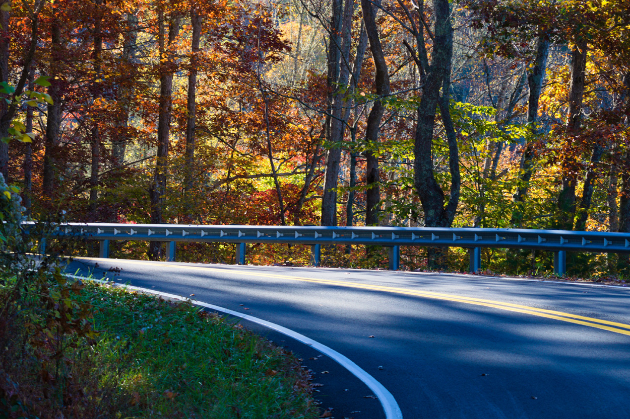 Winding tree-lined road surrounded by autumn foliage near Bristol, Tennessee