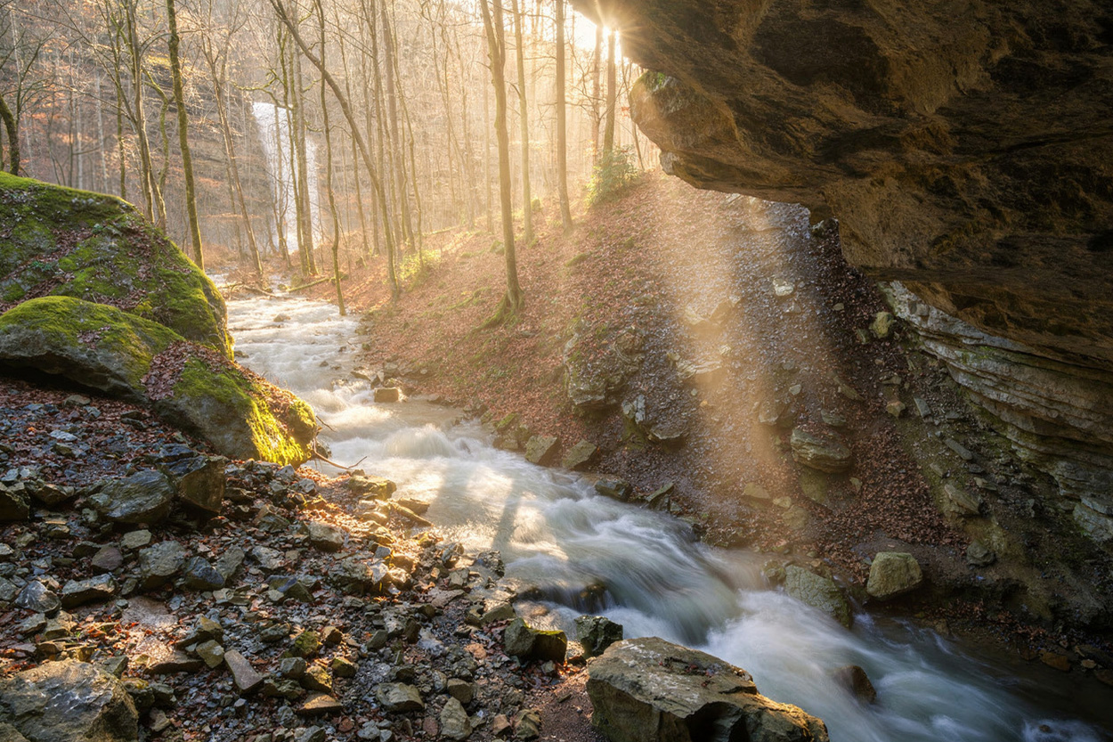 Sunbeams illuminating a rocky woodland creek beneath a cliff near Cave Creek, Tennessee