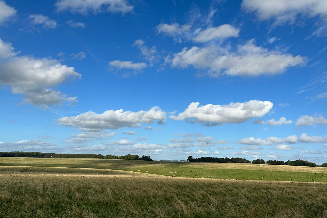 Open farmland beneath a bright blue sky and white clouds in Clouds, Tennessee