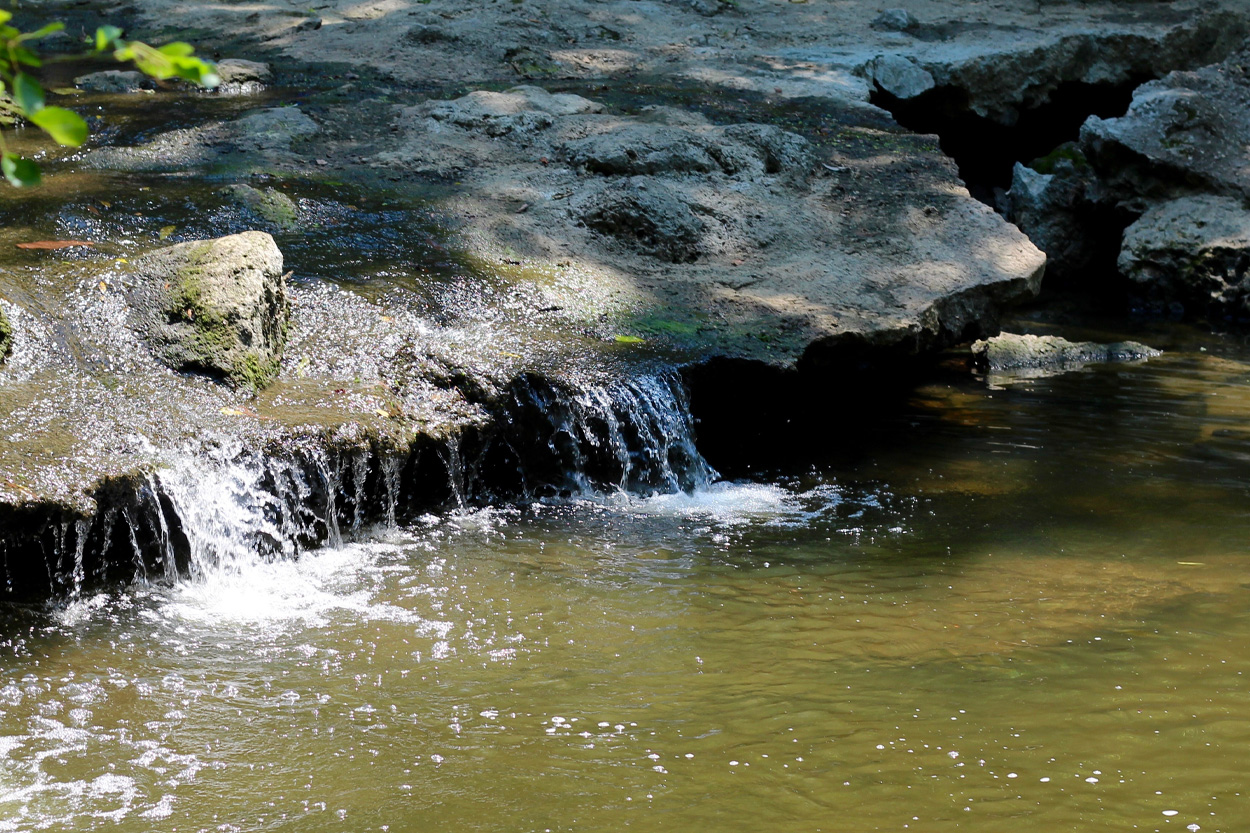 Rocky woodland creek flowing near Deer Lodge in Morgan County, Tennessee