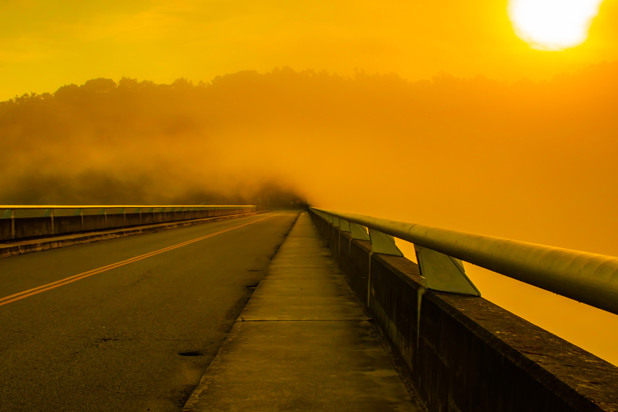 Roadway extending through golden morning fog representing East Knoxville, Tennessee