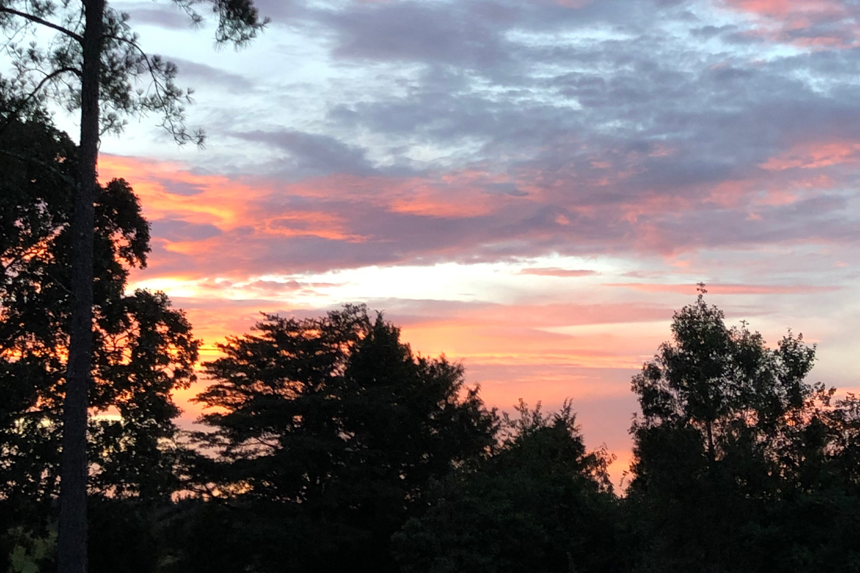 Colorful sunset framed by trees near Evensville in Rhea County, Tennessee