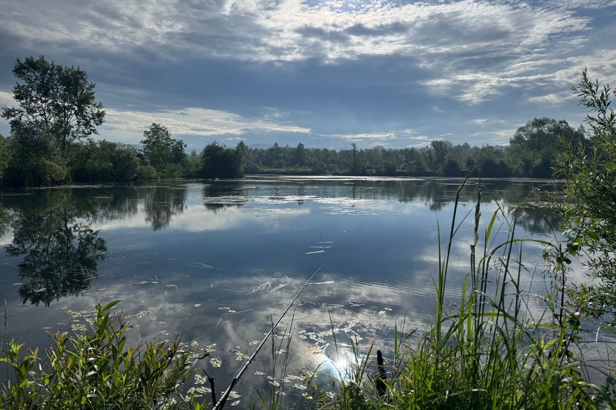 Peaceful lake bordered by reeds and trees beneath a cloudy sky in Friendsville, Tennessee