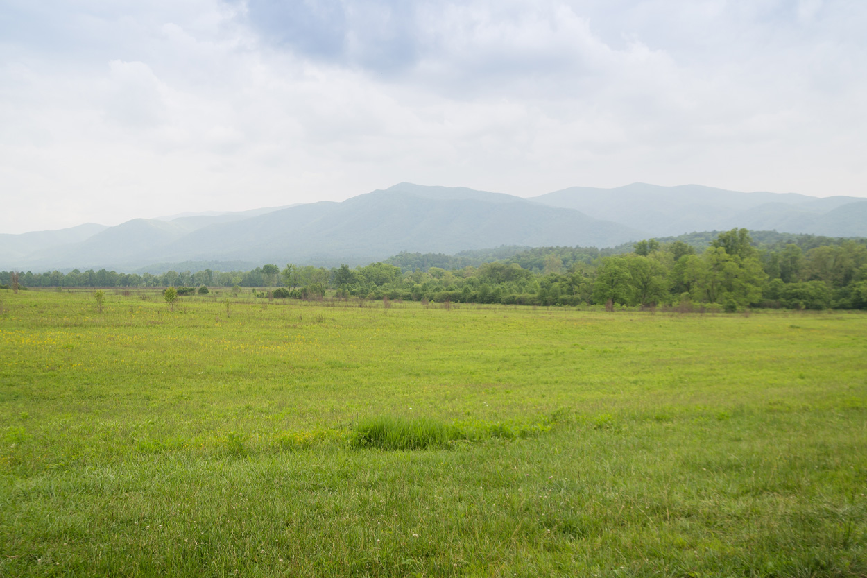 Open green valley with distant mountain ridges in Grassy Cove, Tennessee