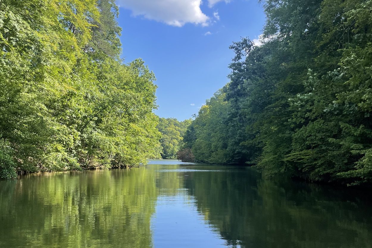 Calm tree-lined waterway beneath a clear blue sky near Greenback, Tennessee