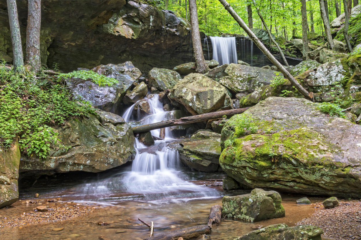 Scenic view of Harrogate, Tennessee