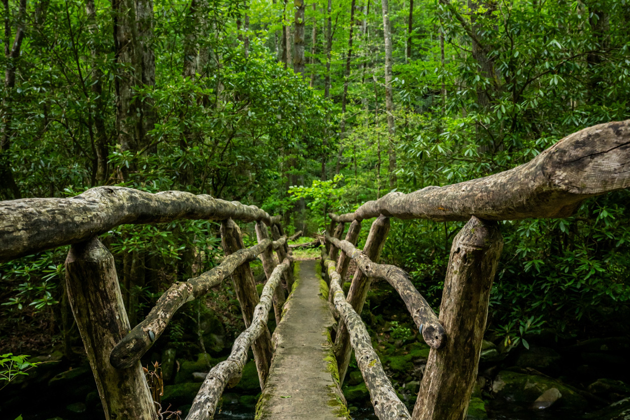 Rustic wooden footbridge winding through a green forest near Midway, Tennessee