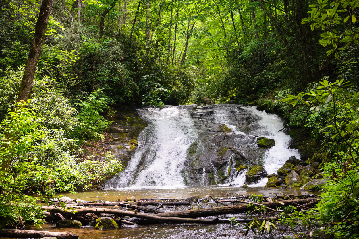 Woodland waterfall representing the historic Mossy Creek area of Jefferson City, Tennessee
