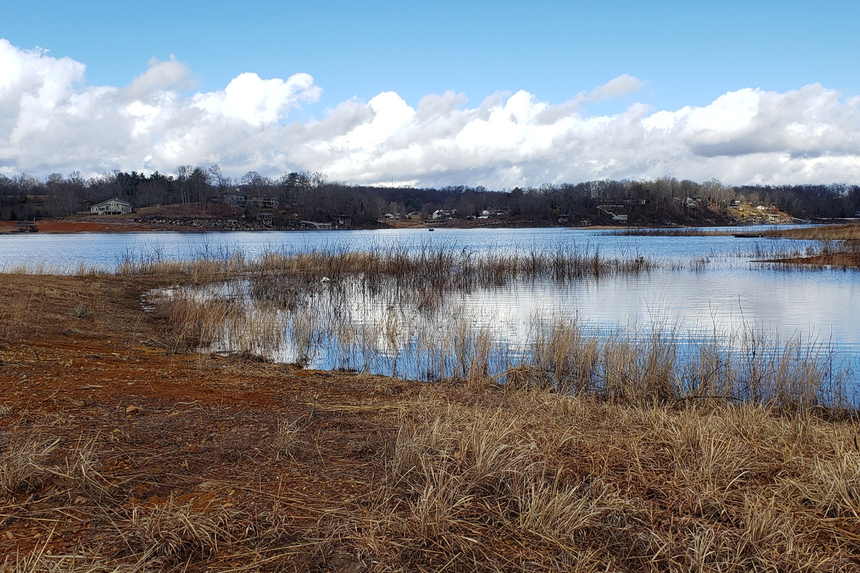 Peaceful wetland with distant wooded hills near Piney Flats, Tennessee