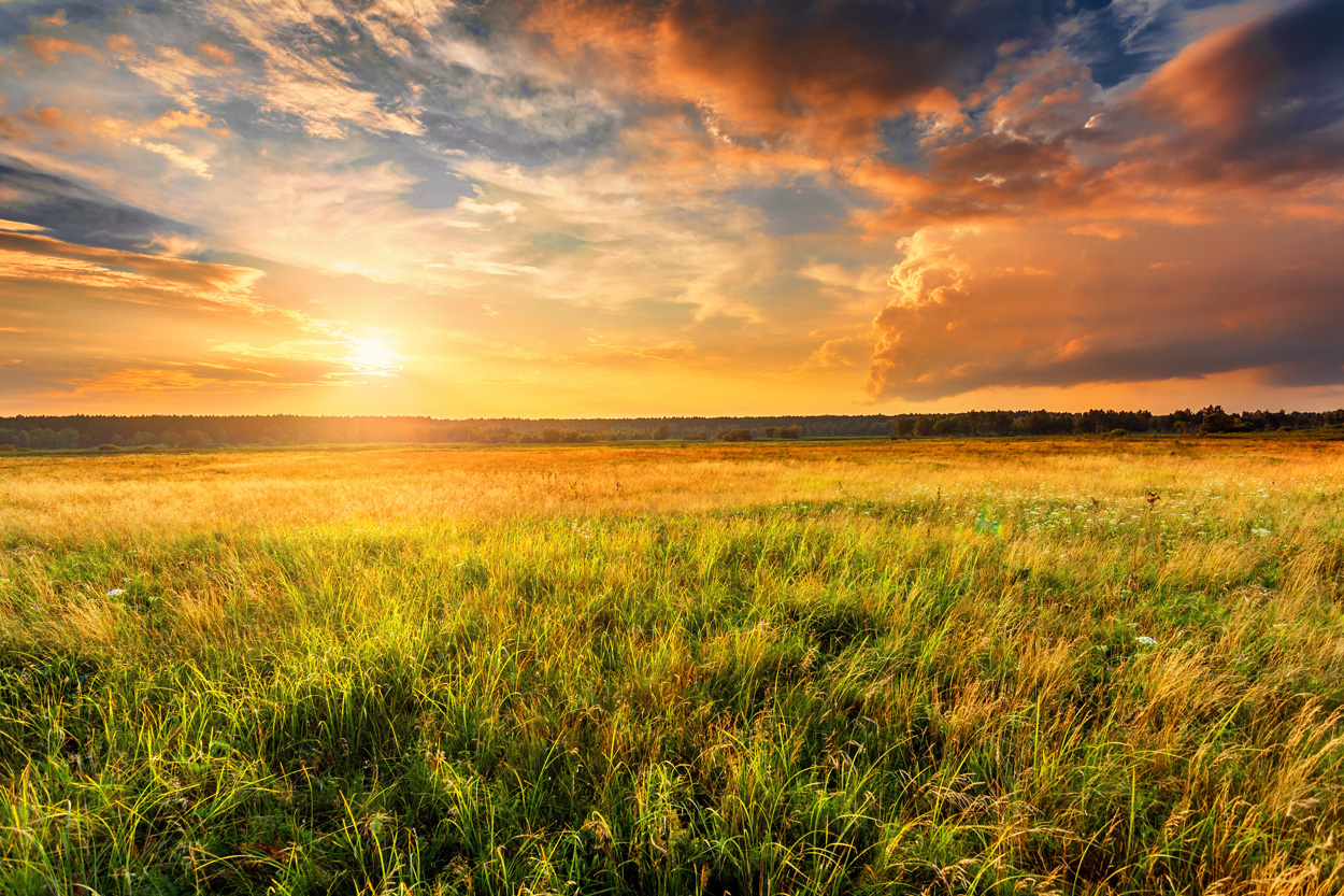 Golden sunset shining across an open field in Plainview, Tennessee