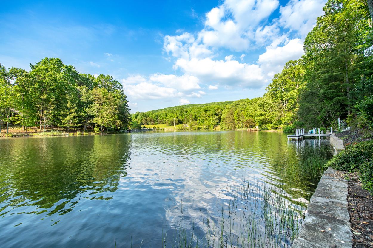Peaceful lake surrounded by green trees in Pleasant Hill, Tennessee