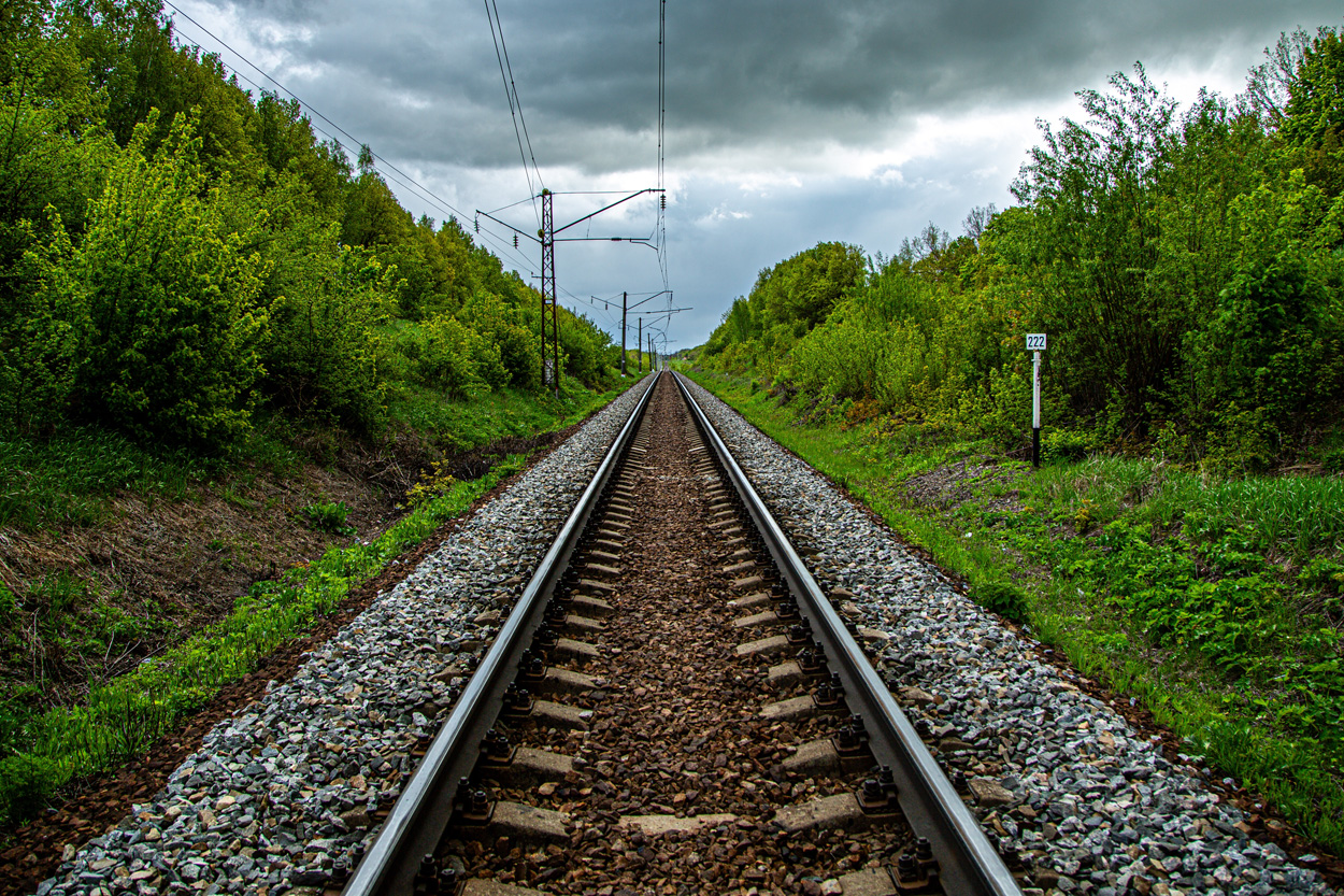 Railroad tracks extending through a green wooded corridor in Powell, Tennessee