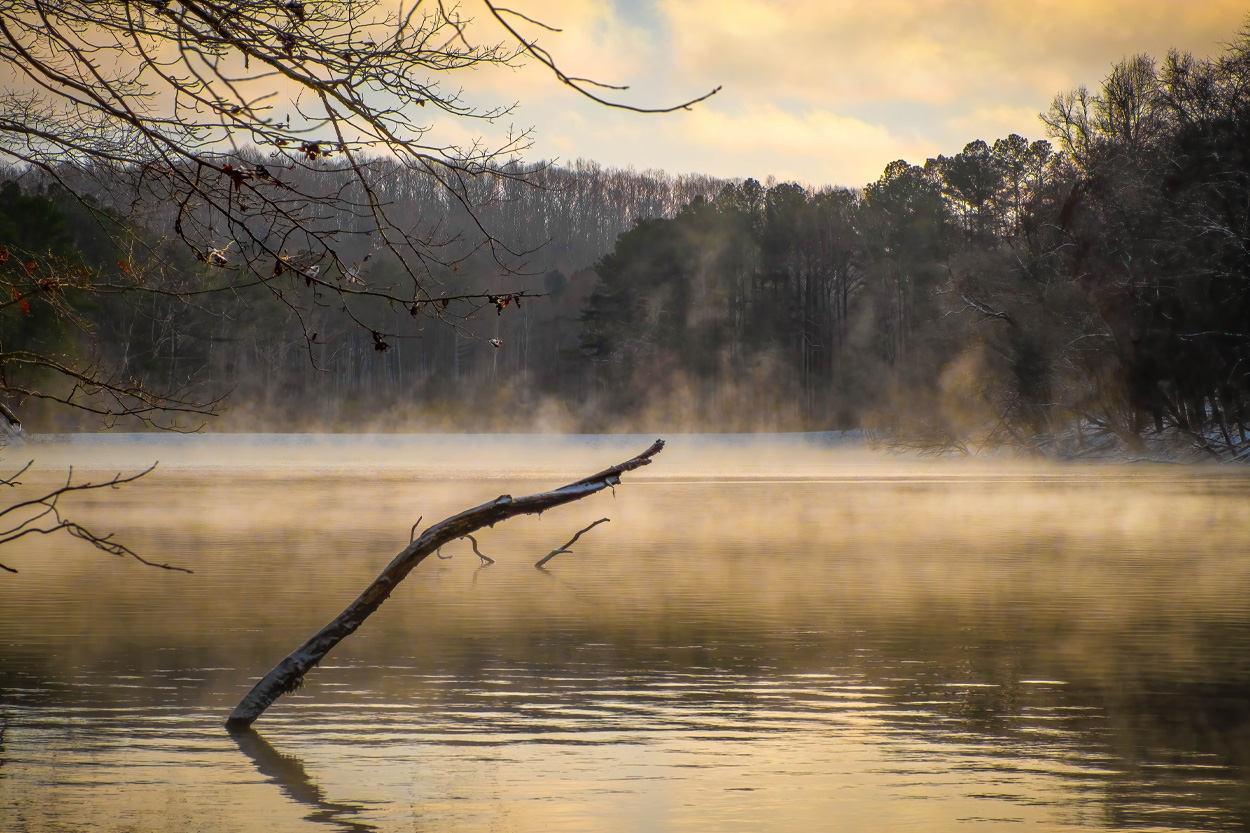 Morning mist rising from a peaceful lake in Powell Valley, Tennessee