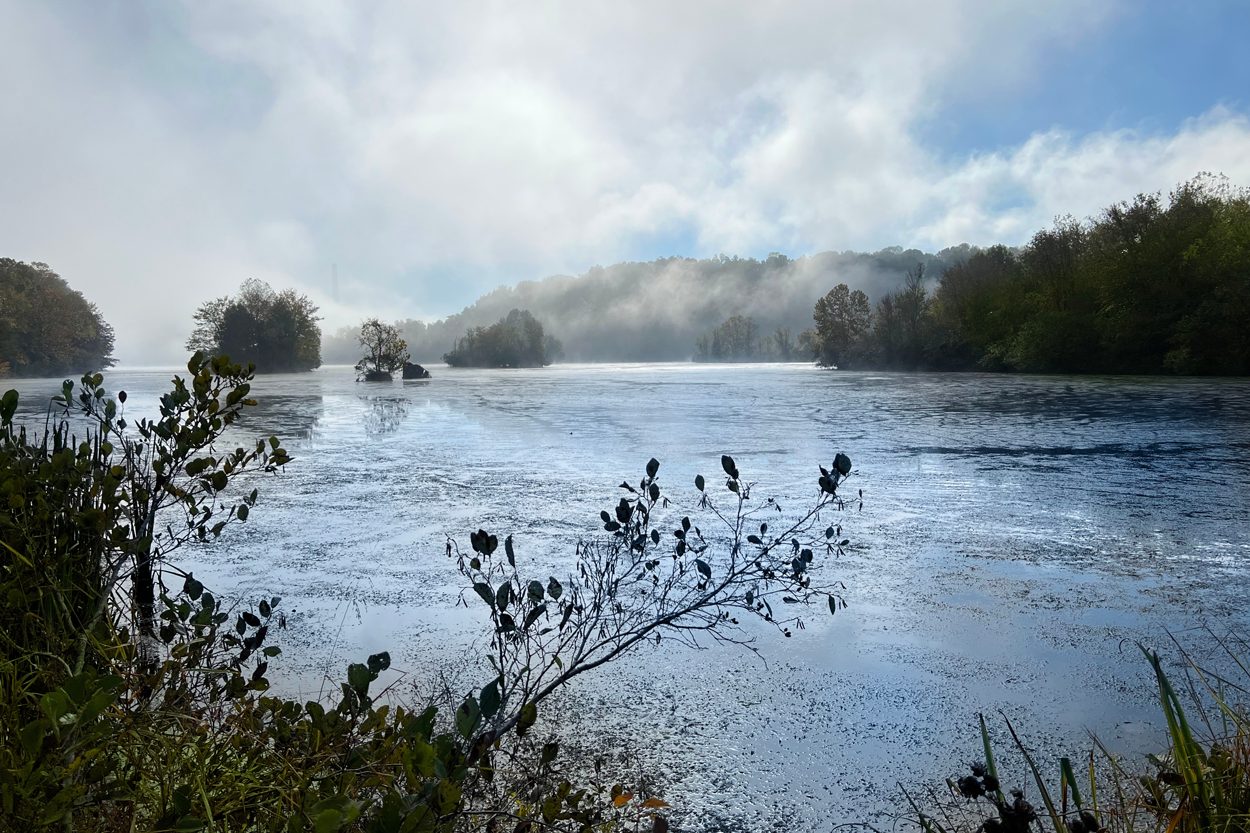 Snow-covered lake and wooded shoreline on a winter morning near Rockford, Tennessee