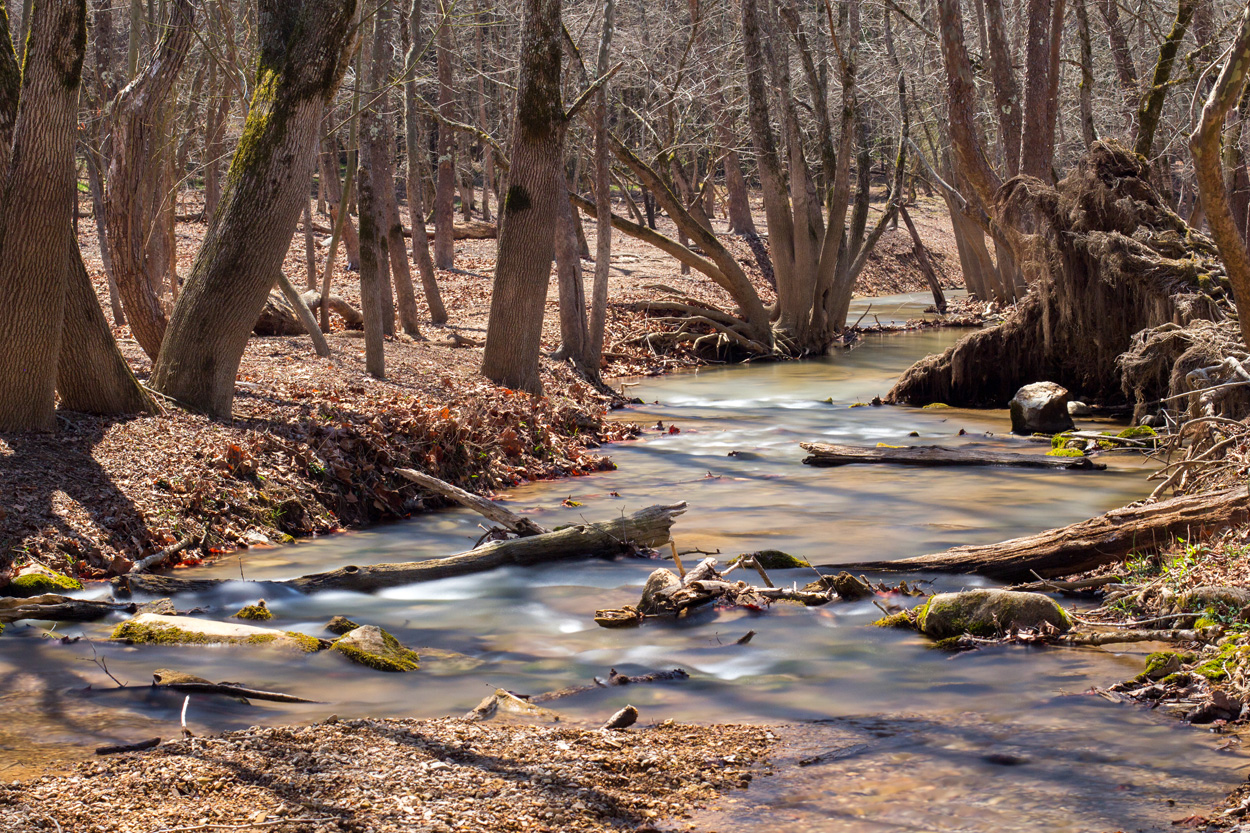 Rocky creek flowing through a wooded landscape near Russellville in Hamblen County, Tennessee