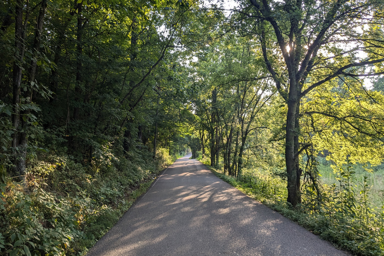 Quiet tree-lined road representing Seymour in Blount and Sevier counties, Tennessee