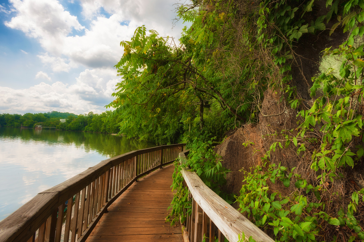 Wooden riverside boardwalk beside a vine-covered rock bluff in South Knoxville, Tennessee