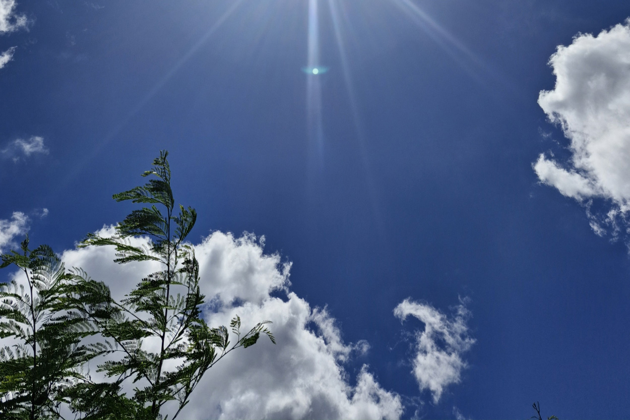 Sunlight and white clouds above evergreen trees representing Sunbright, Tennessee