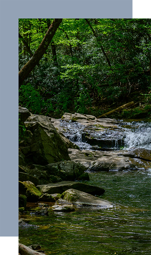 Blount County Tennessee Community