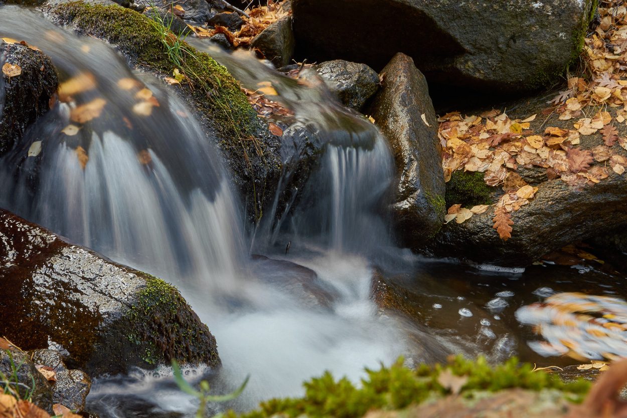 Scenic view of Carson Springs, Tennessee