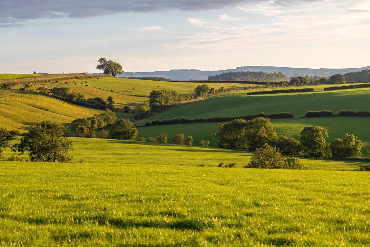 Rolling green farmland and distant hills near Clarkrange in Fentress County, Tennessee