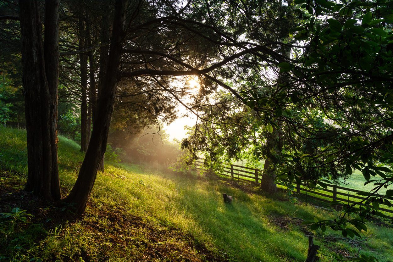 Scenic view of Clinton, Tennessee
