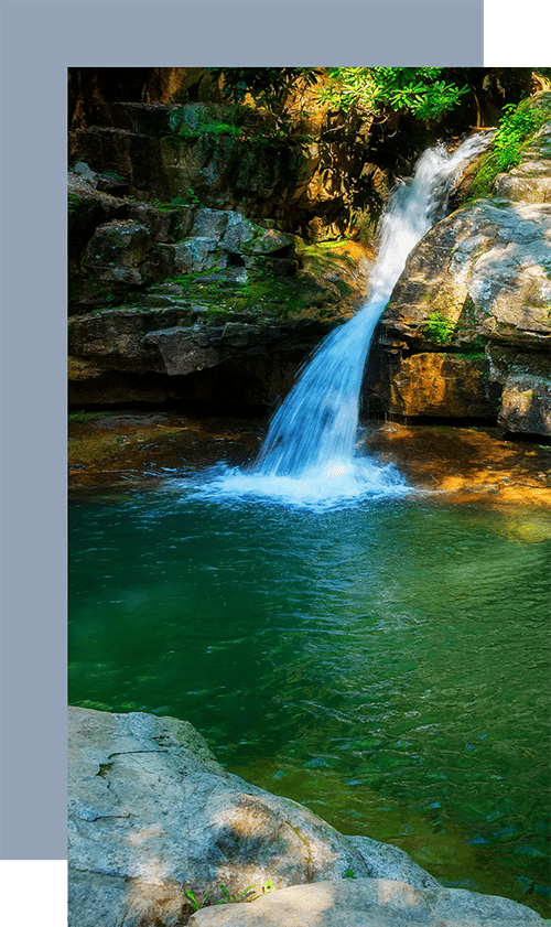 Cocke County, Tennessee community
