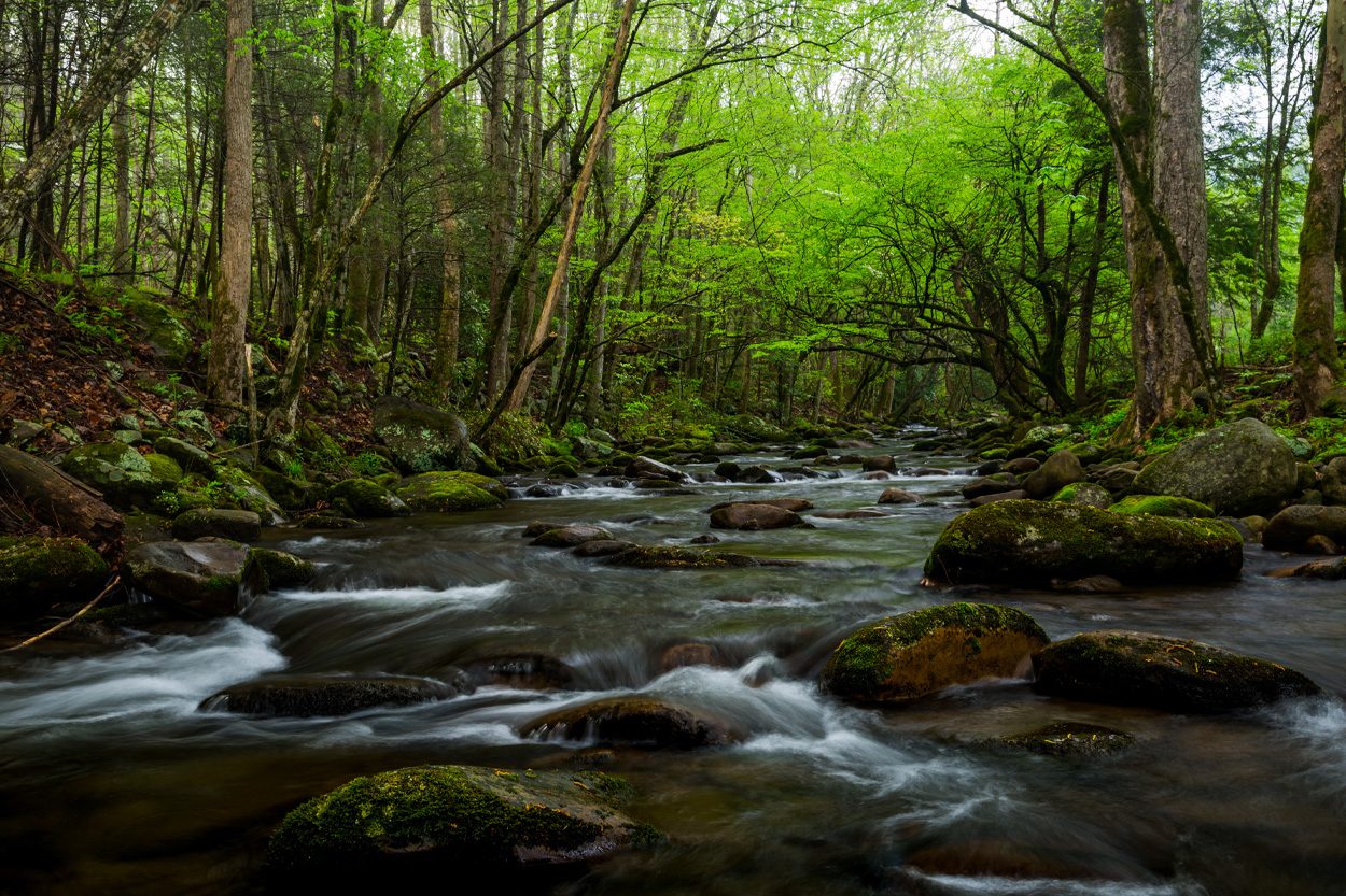 Scenic view of Cosby, Tennessee