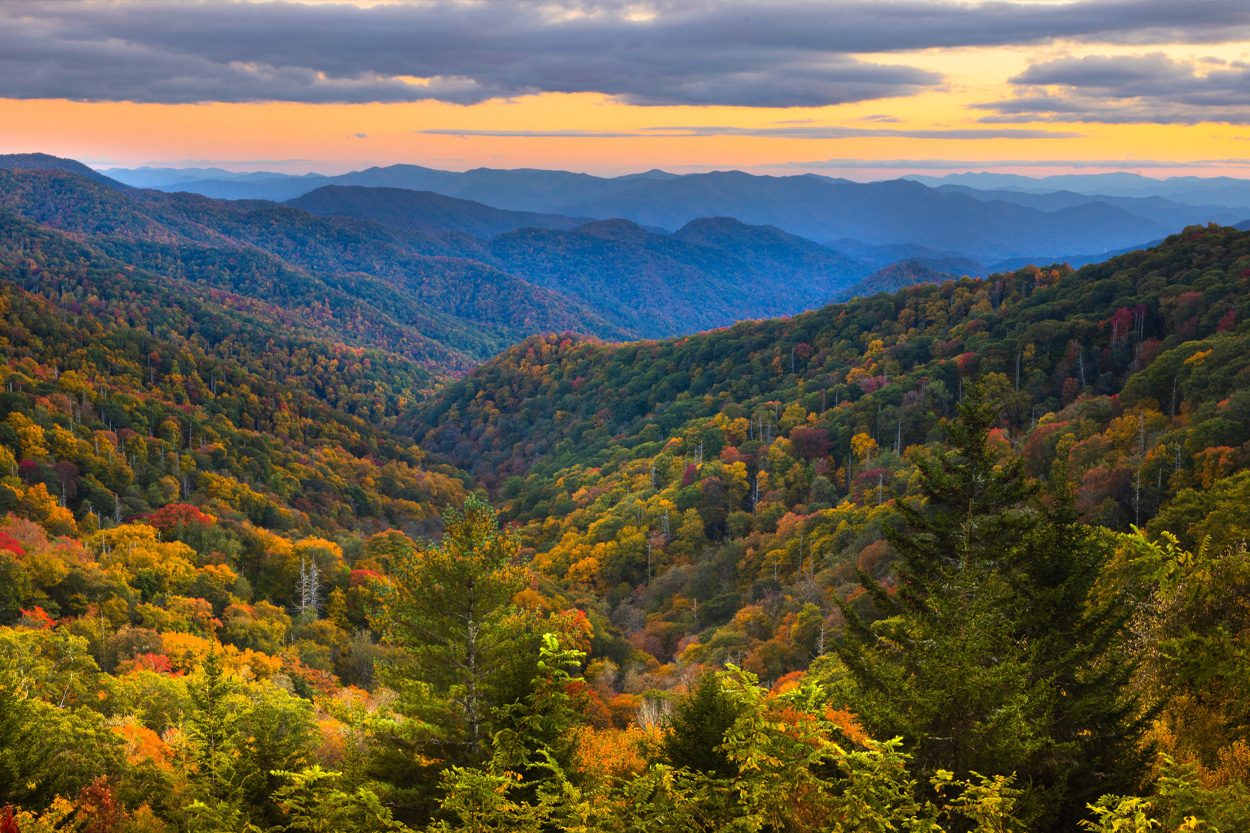 Scenic view of Del Rio, Tennessee