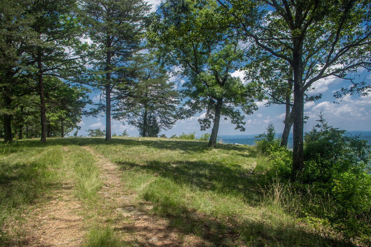 Scenic view of Dutch Valley, Tennessee