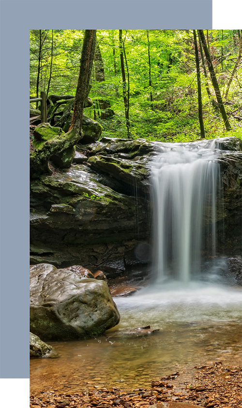 Morgan County Tennessee Community