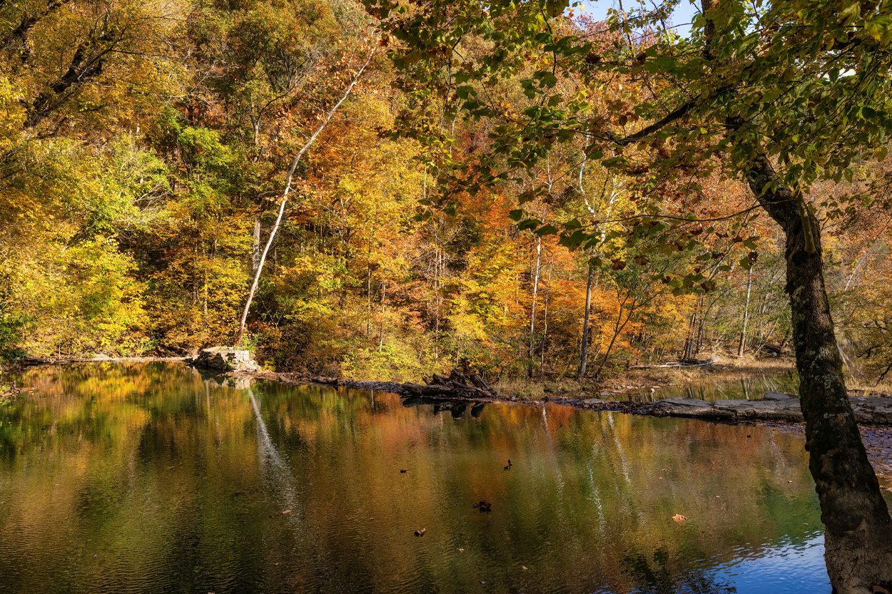 Peaceful creek surrounded by colorful autumn trees representing Mount Carmel, Tennessee