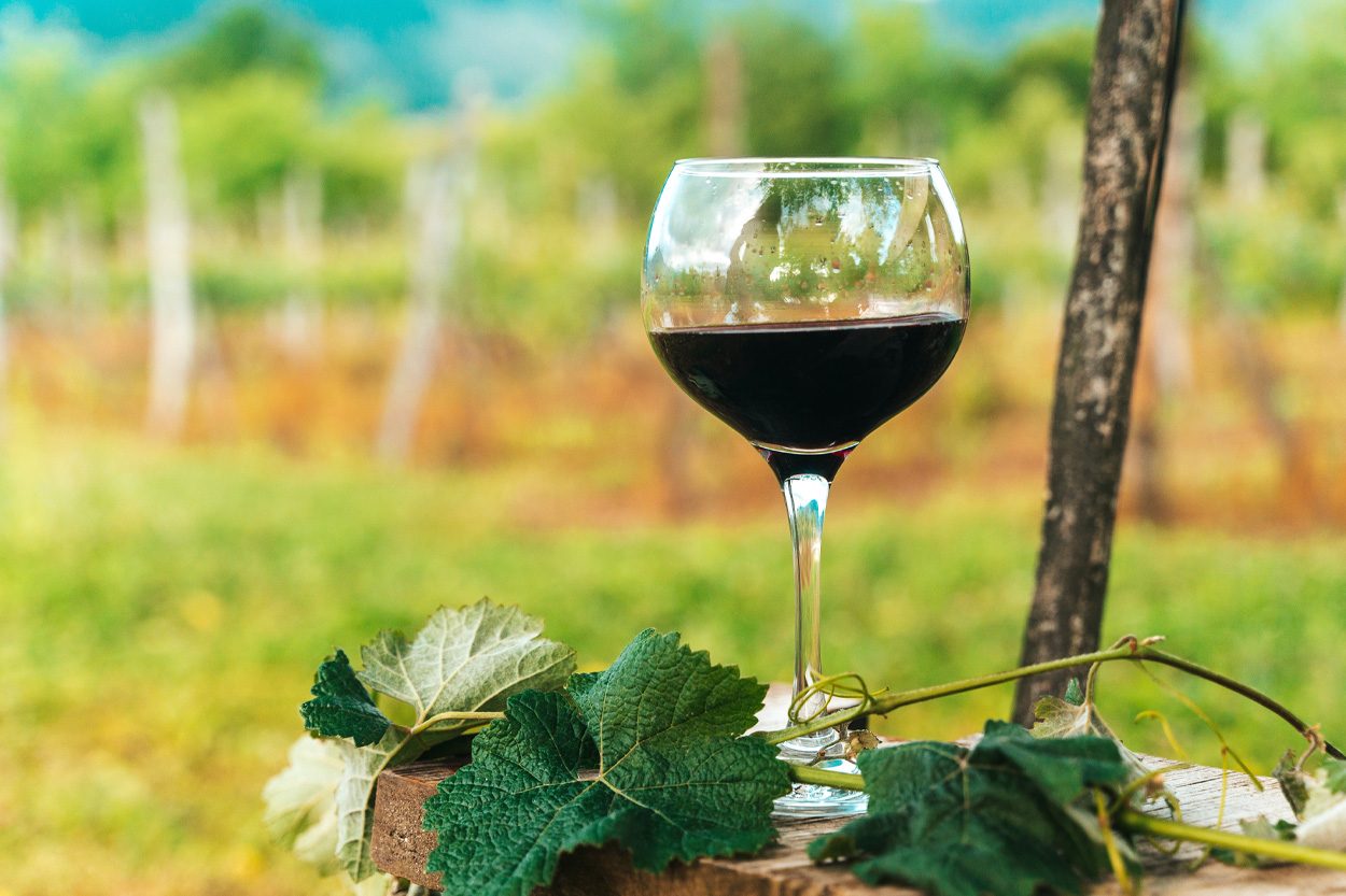 Wine glass and grapevine overlooking a green rural landscape near Powder Springs, Tennessee