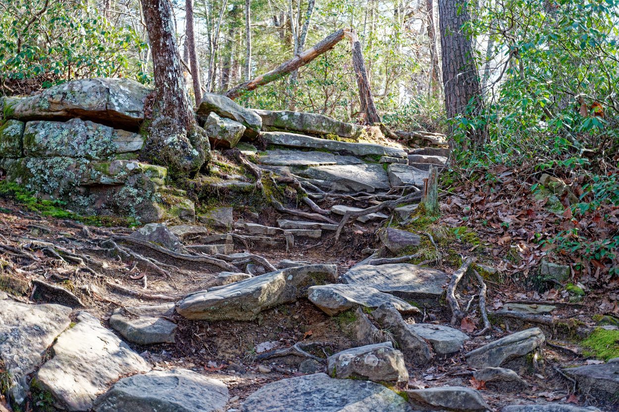 Scenic view of Rocky Top, Tennessee