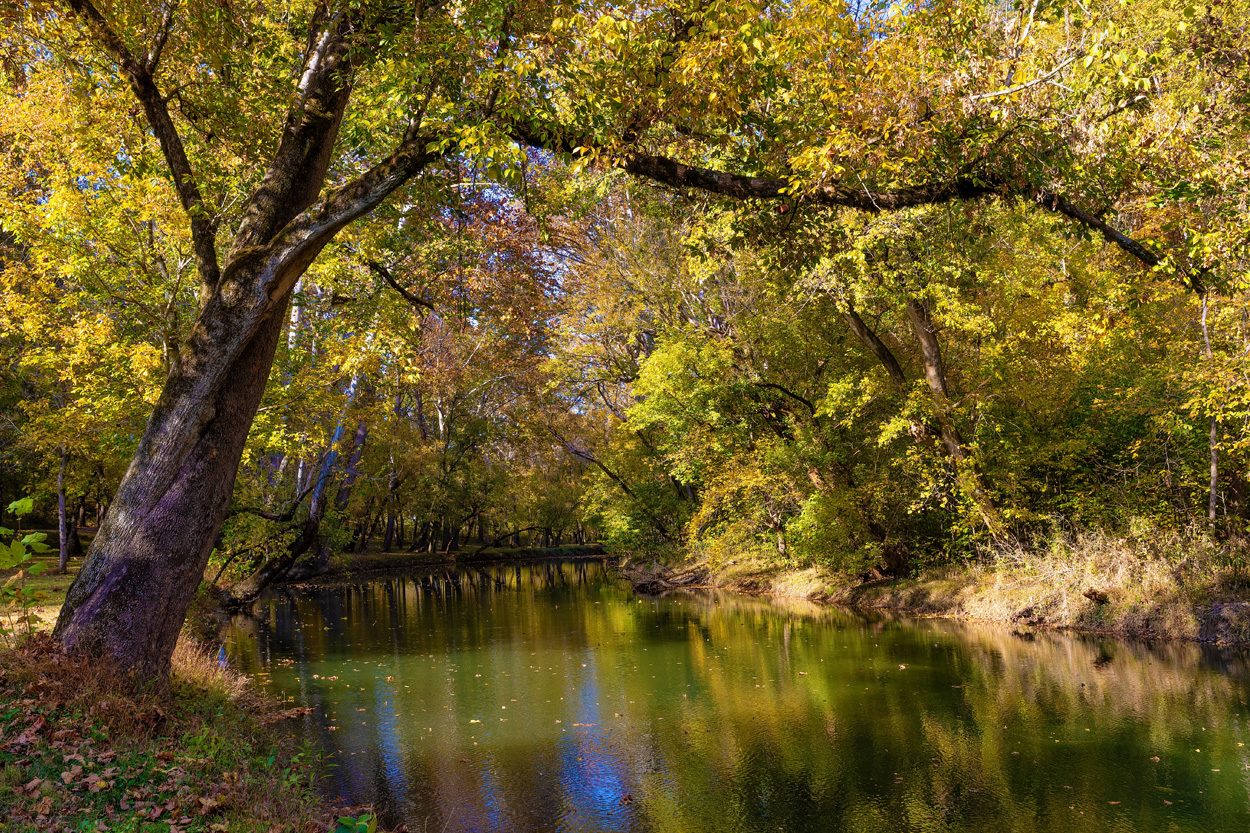 Calm tree-lined waterway beneath autumn foliage representing Surgoinsville, Tennessee