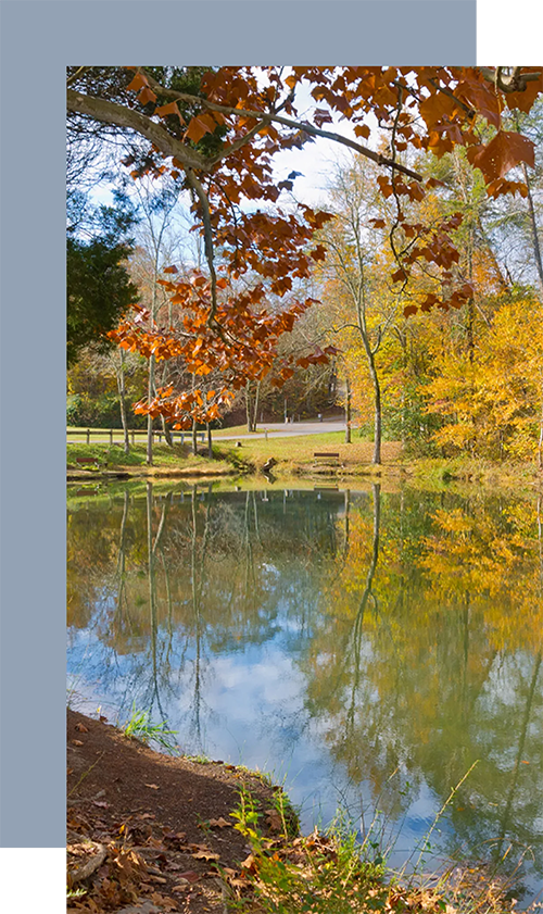 Union County Tennessee Community