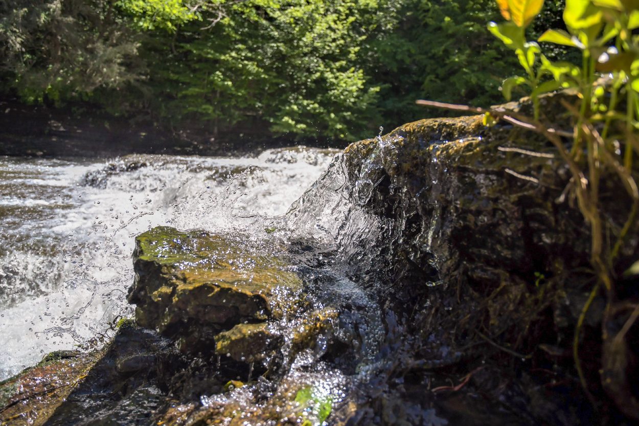 Small woodland waterfall flowing over rocks near Wilder in Fentress County, Tennessee