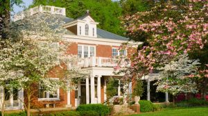 Spotlight on Dogwood Arts in East Tennessee